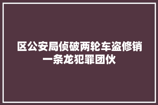 区公安局侦破两轮车盗修销一条龙犯罪团伙