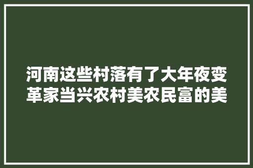 河南这些村落有了大年夜变革家当兴农村美农民富的美丽画卷正逐渐展开