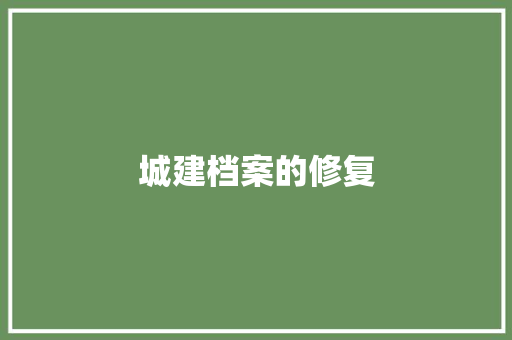 城建档案的修复