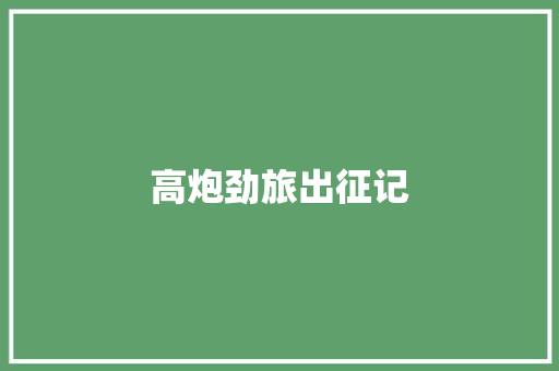高炮劲旅出征记