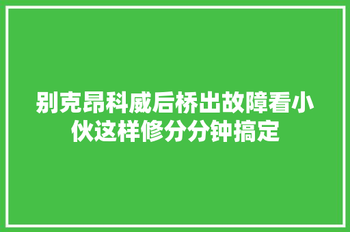 别克昂科威后桥出故障看小伙这样修分分钟搞定