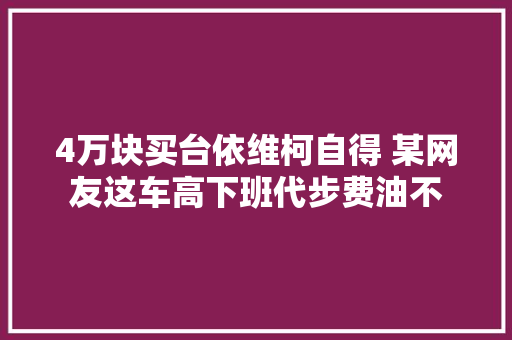 4万块买台依维柯自得 某网友这车高下班代步费油不