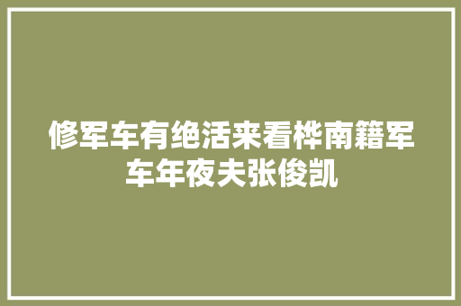 修军车有绝活来看桦南籍军车年夜夫张俊凯