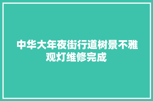 中华大年夜街行道树景不雅观灯维修完成