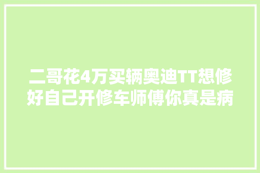 二哥花4万买辆奥迪TT想修好自己开修车师傅你真是病得不清