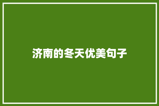 济南的冬天优美句子