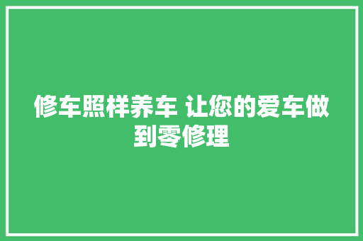 修车照样养车 让您的爱车做到零修理