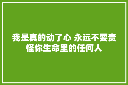 我是真的动了心 永远不要责怪你生命里的任何人