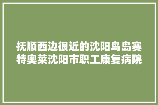 抚顺西边很近的沈阳鸟岛赛特奥莱沈阳市职工康复病院