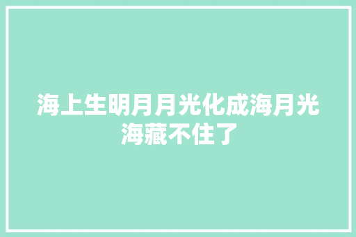 海上生明月月光化成海月光海藏不住了