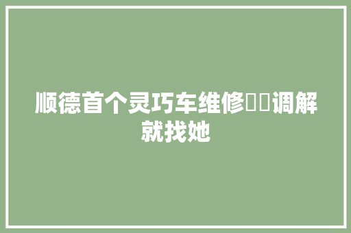 顺德首个灵巧车维修轇轕调解就找她