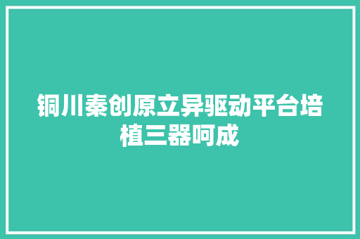 铜川秦创原立异驱动平台培植三器呵成
