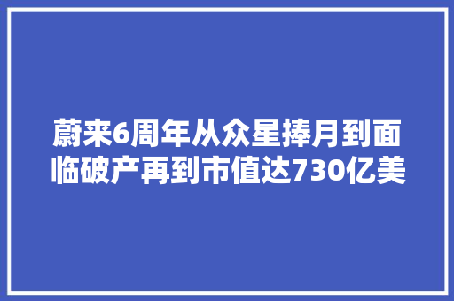 蔚来6周年从众星捧月到面临破产再到市值达730亿美元