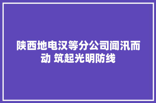 陕西地电汉等分公司闻汛而动 筑起光明防线