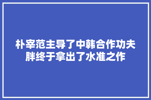 朴宰范主导了中韩合作功夫胖终于拿出了水准之作