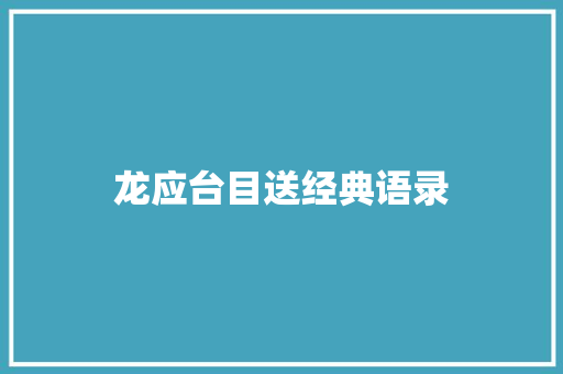 龙应台目送经典语录