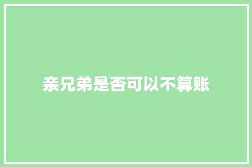 亲兄弟是否可以不算账