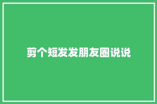 剪个短发发朋友圈说说
