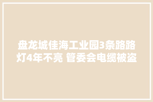 盘龙城佳海工业园3条路路灯4年不亮 管委会电缆被盗