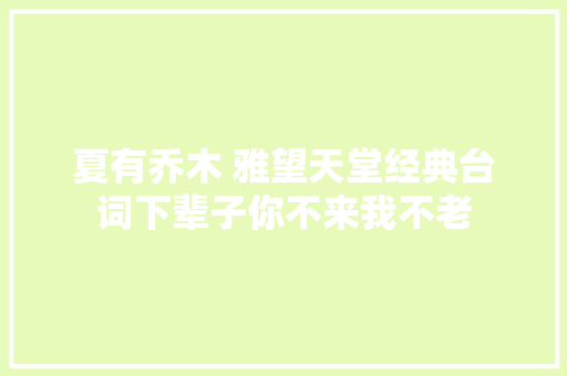 夏有乔木 雅望天堂经典台词下辈子你不来我不老 休闲娱乐