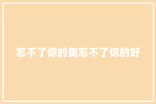 忘不了你的美忘不了你的好