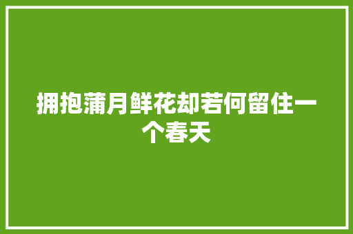 拥抱蒲月鲜花却若何留住一个春天