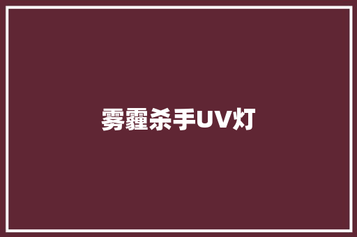 雾霾杀手UV灯
