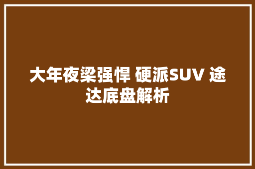 大年夜梁强悍 硬派SUV 途达底盘解析