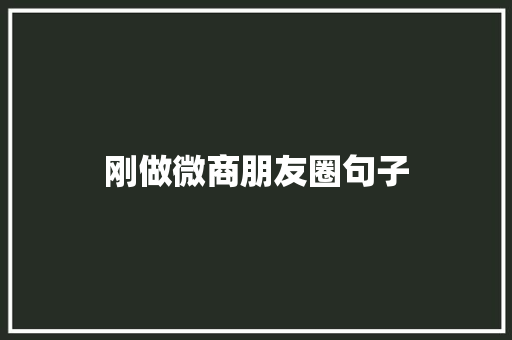 刚做微商朋友圈句子