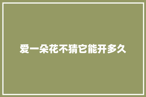 爱一朵花不猜它能开多久 休闲娱乐