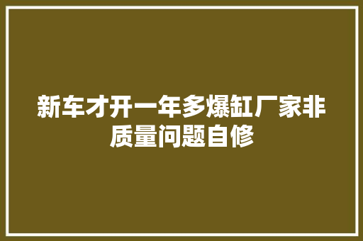 新车才开一年多爆缸厂家非质量问题自修