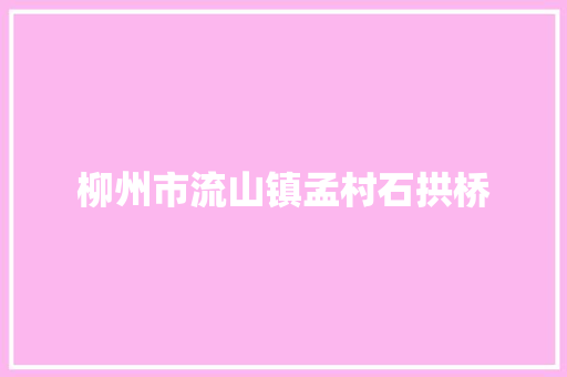 柳州市流山镇孟村石拱桥