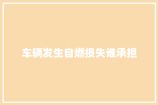 车辆发生自燃损失谁承担