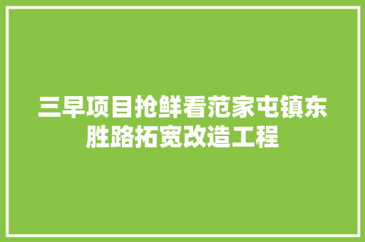 三早项目抢鲜看范家屯镇东胜路拓宽改造工程