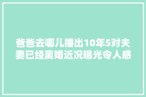 爸爸去哪儿播出10年5对夫妻已经离婚近况曝光令人感慨