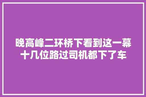晚高峰二环桥下看到这一幕十几位路过司机都下了车