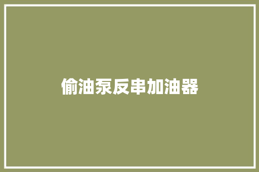 偷油泵反串加油器