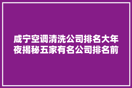 咸宁空调清洗公司排名大年夜揭秘五家有名公司排名前五