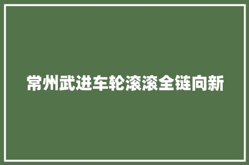 常州武进车轮滚滚全链向新