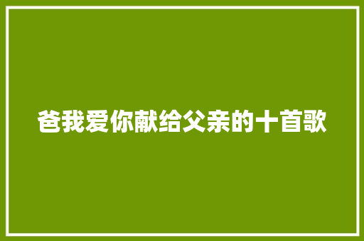爸我爱你献给父亲的十首歌