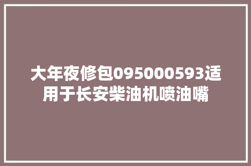 大年夜修包095000593适用于长安柴油机喷油嘴