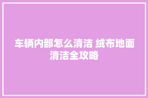 车辆内部怎么清洁 绒布地面清洁全攻略