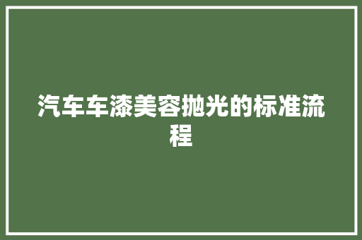 汽车车漆美容抛光的标准流程
