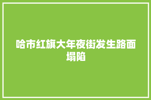 哈市红旗大年夜街发生路面塌陷