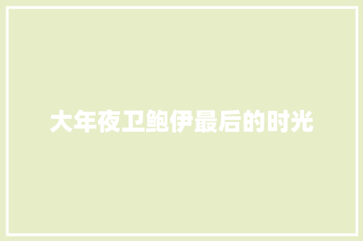 大年夜卫鲍伊最后的时光