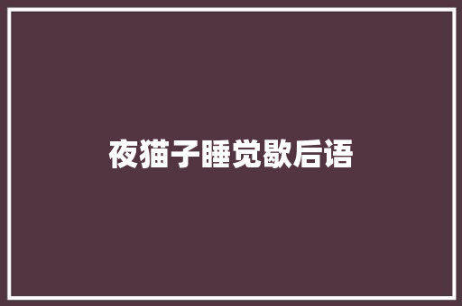 夜猫子睡觉歇后语