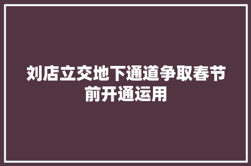 刘店立交地下通道争取春节前开通运用