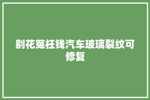 别花冤枉钱汽车玻璃裂纹可修复