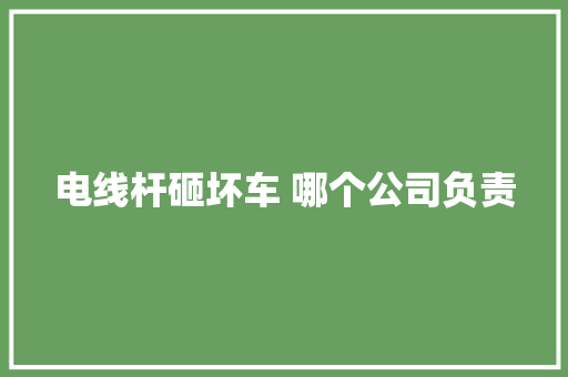 电线杆砸坏车 哪个公司负责