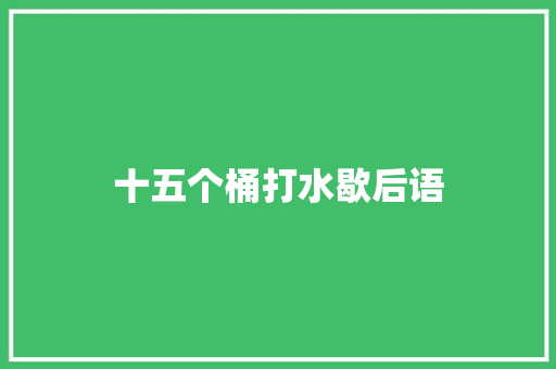 十五个桶打水歇后语